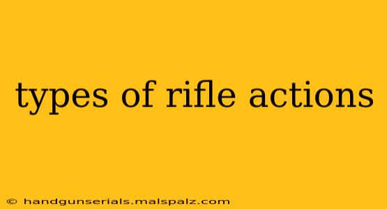 types of rifle actions