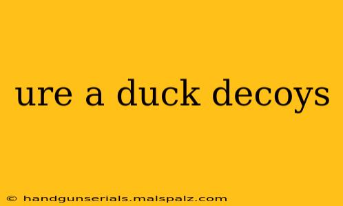 ure a duck decoys