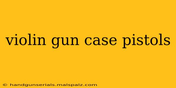 violin gun case pistols