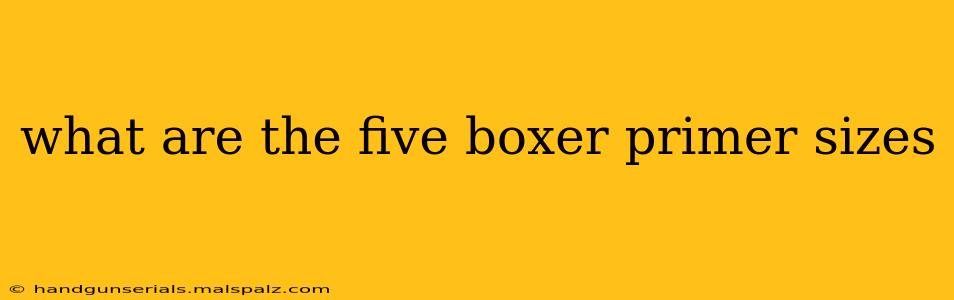 what are the five boxer primer sizes