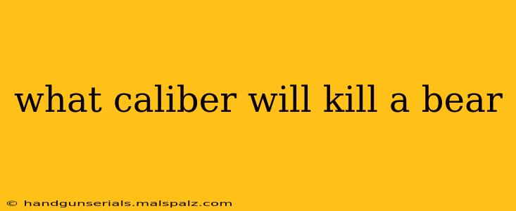 what caliber will kill a bear