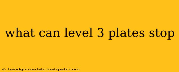 what can level 3 plates stop