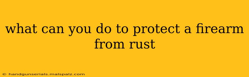 what can you do to protect a firearm from rust