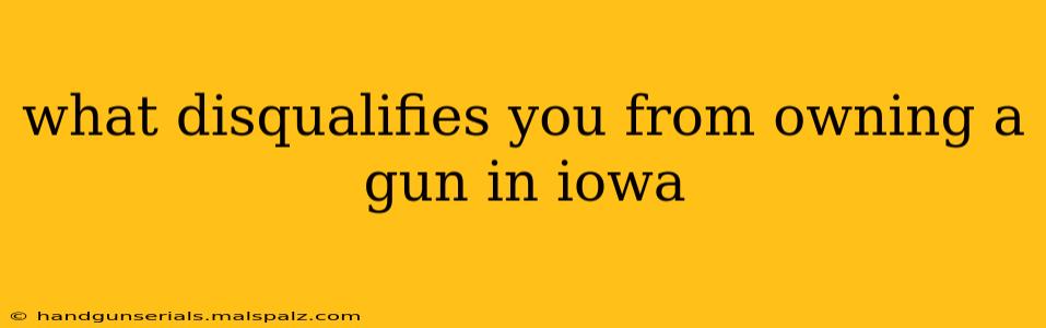 what disqualifies you from owning a gun in iowa