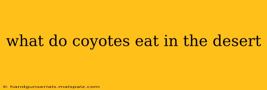 what do coyotes eat in the desert