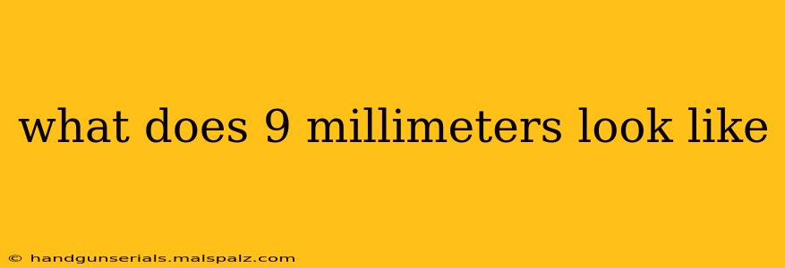 what does 9 millimeters look like