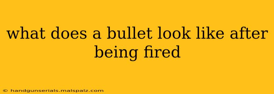 what does a bullet look like after being fired