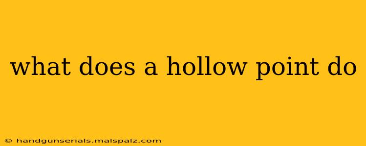 what does a hollow point do