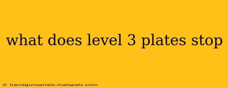 what does level 3 plates stop