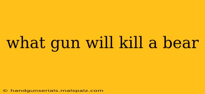 what gun will kill a bear