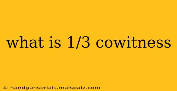 what is 1/3 cowitness