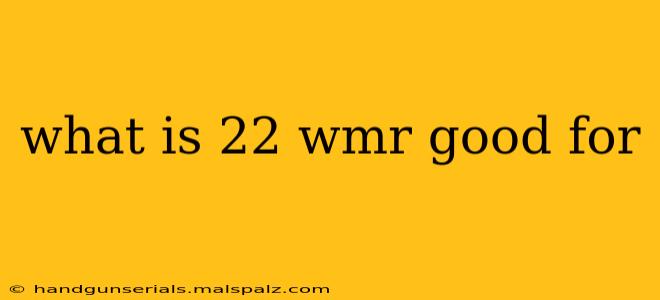 what is 22 wmr good for