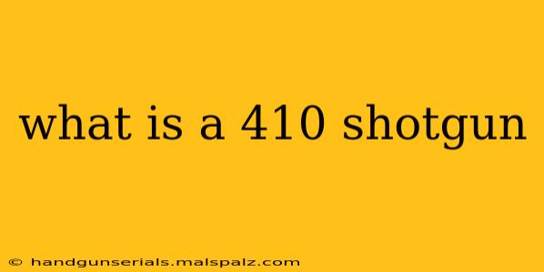 what is a 410 shotgun