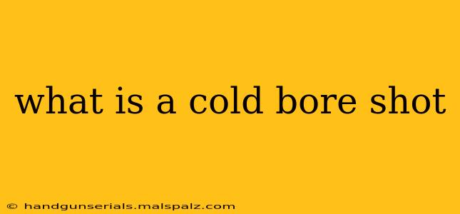 what is a cold bore shot