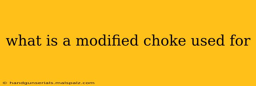 what is a modified choke used for