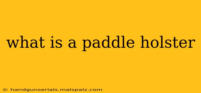 what is a paddle holster