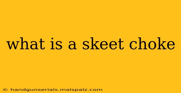 what is a skeet choke