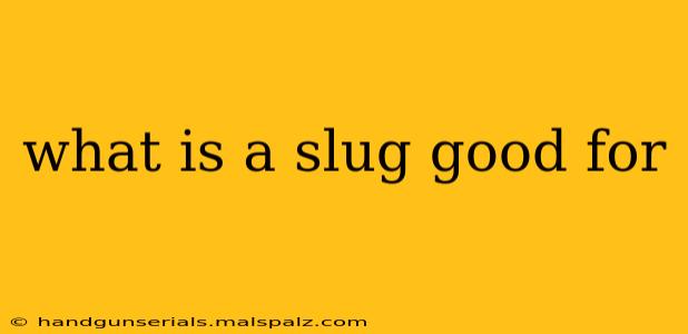 what is a slug good for