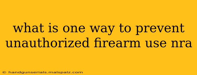 what is one way to prevent unauthorized firearm use nra