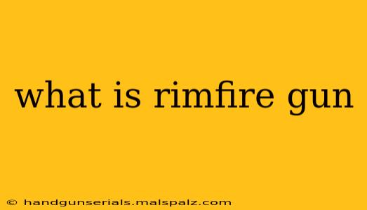 what is rimfire gun