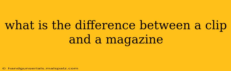 what is the difference between a clip and a magazine