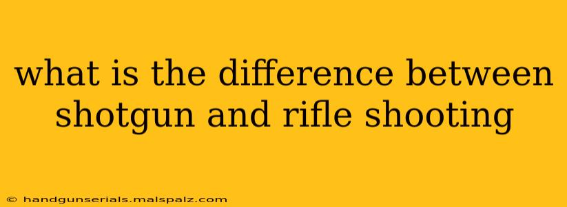 what is the difference between shotgun and rifle shooting