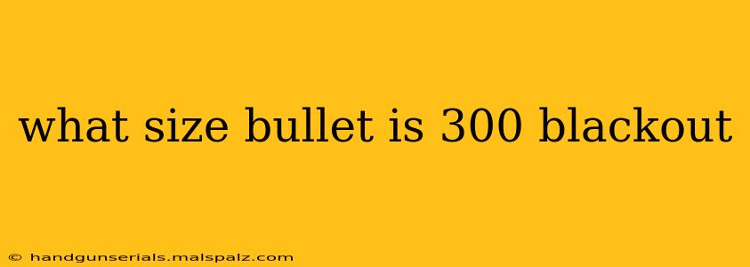 what size bullet is 300 blackout