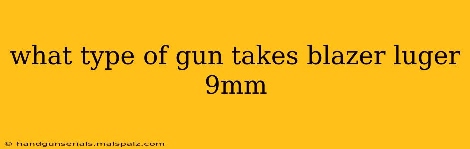 what type of gun takes blazer luger 9mm