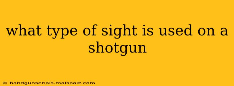 what type of sight is used on a shotgun