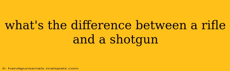 what's the difference between a rifle and a shotgun