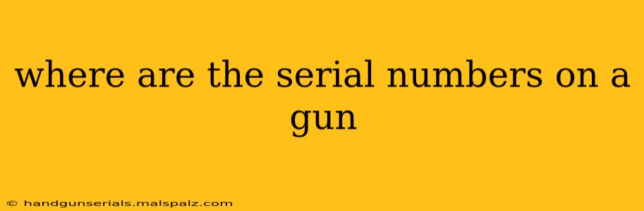 where are the serial numbers on a gun