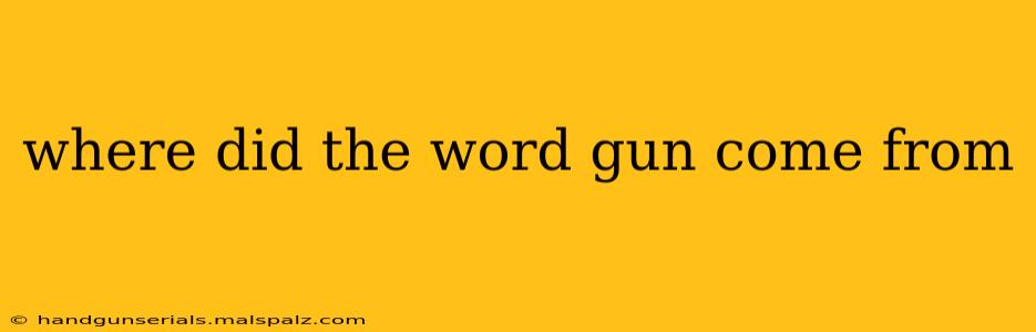 where did the word gun come from