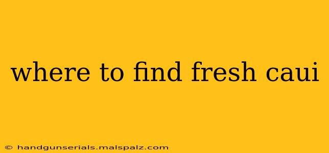 where to find fresh caui