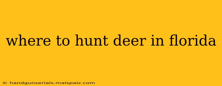 where to hunt deer in florida