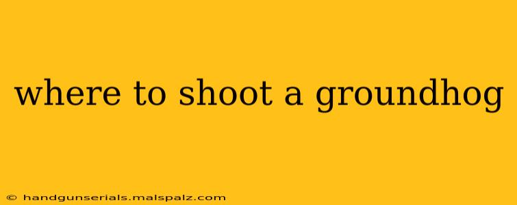 where to shoot a groundhog