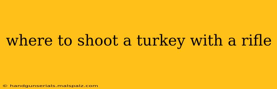 where to shoot a turkey with a rifle