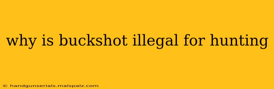 why is buckshot illegal for hunting