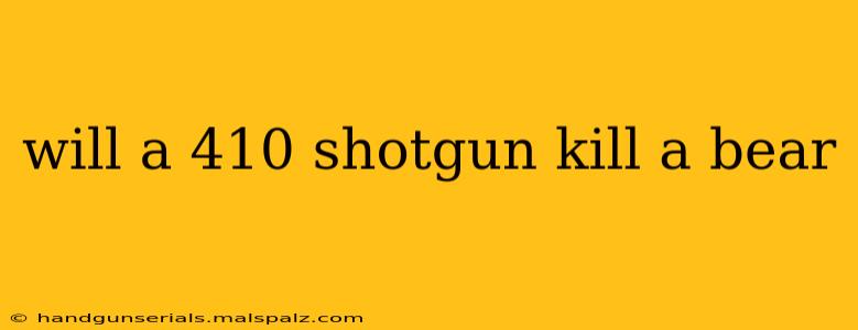 will a 410 shotgun kill a bear