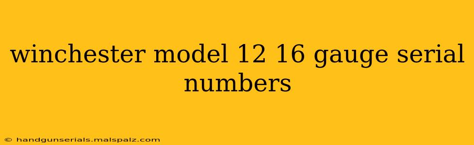 winchester model 12 16 gauge serial numbers