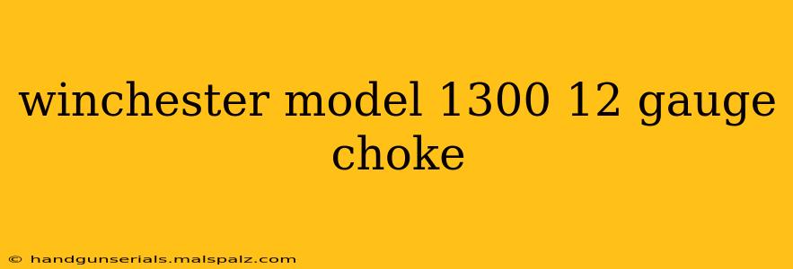 winchester model 1300 12 gauge choke