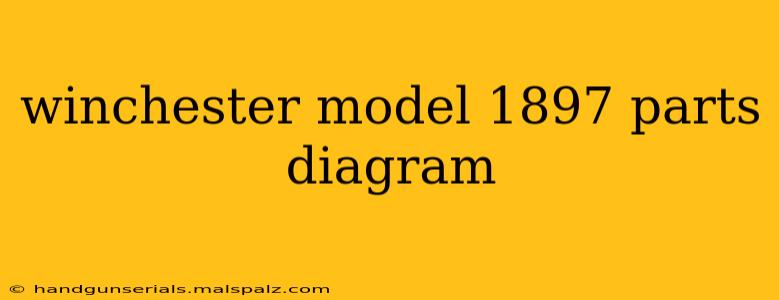 winchester model 1897 parts diagram