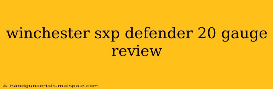 winchester sxp defender 20 gauge review