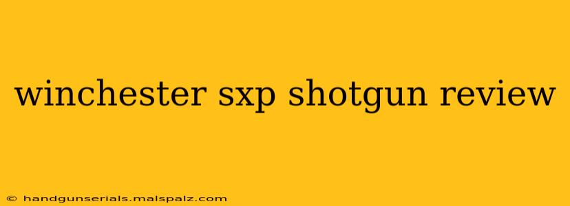 winchester sxp shotgun review