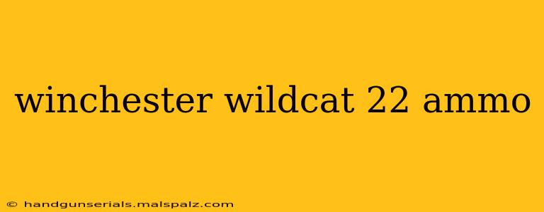 winchester wildcat 22 ammo